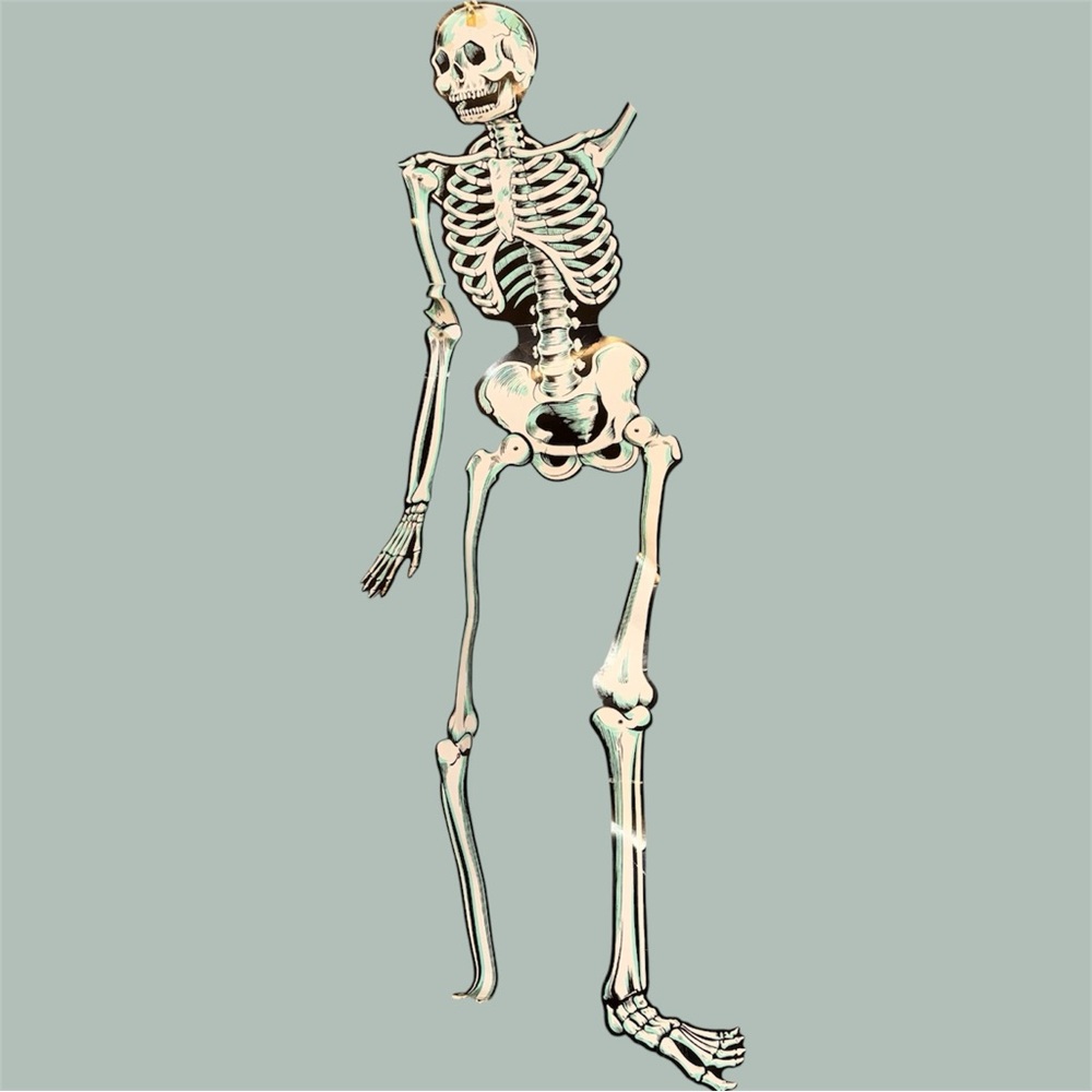 The Beistle Company Jointed Human Skeleton Bones Halloween Decoration 4 Feet